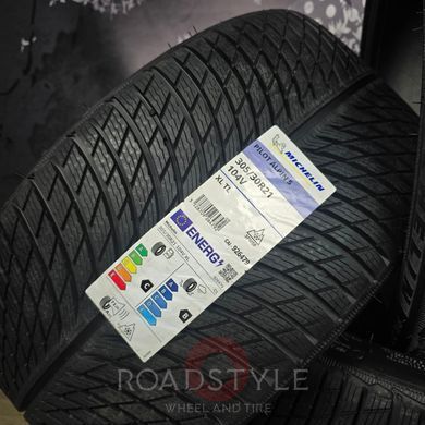 Зимові шини 265/35 R21 101V XL...305/30 R21 104V XL Michelin Pilot Alpin 5