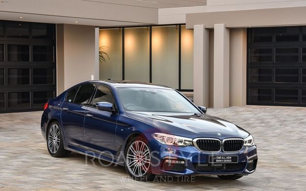 19" зимові різноширокі колеса BMW 5 G30/G31 6 G32 7 G11/G12 8 G14/G15/G16 3 G20 G21 X3 G01 X4 G02 664M style (36117856925/36117856926)